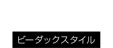 BDACstyle